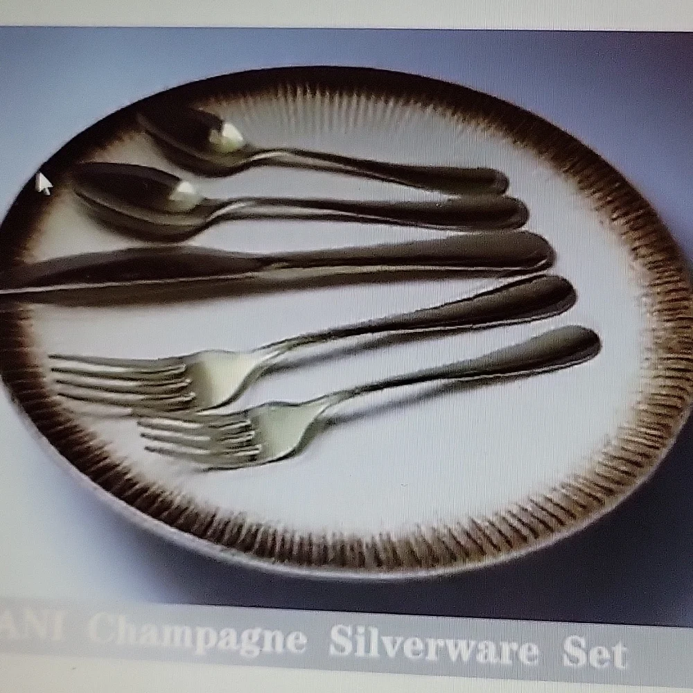 Vivani Champagne Gold 20 pc silverware set for 4 stainless steel flatware New…